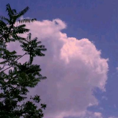 手术刀绕指柔
